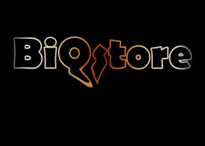 BiQStore – böcker, interaktiva böcker, design